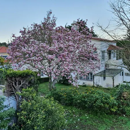 Comfy Bed & Breakfast 4*