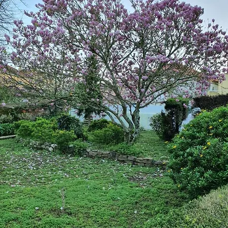 Comfy Bed and Breakfast Σίντρα
