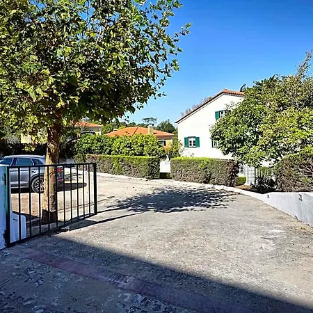 Comfy Bed and Breakfast 4*