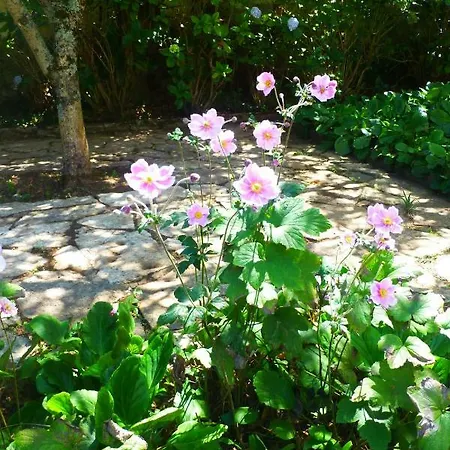 Comfy Couette-café 4*