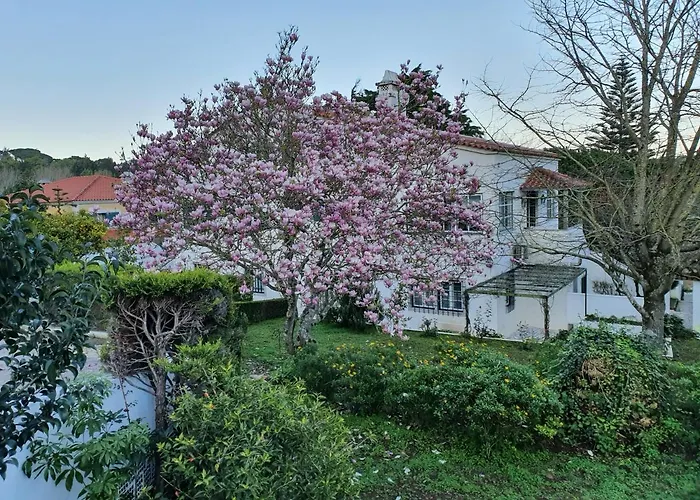 Comfy Nocleg ze śniadaniem 4*