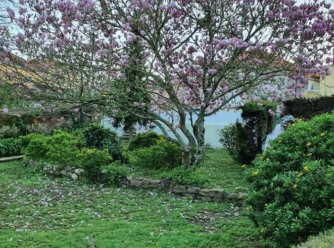 Comfy Nocleg ze śniadaniem Sintra